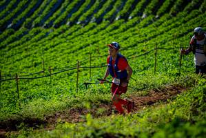 BIB: 
                            <button type="button" onclick="openModal(19161118)" class="btn btn-primary btn-sm float-right btn-popup" data-toggle="modal" data-target=".modal-high-quality">
                        <i class="fas fa-shopping-cart"></i> Add to Cart
                    </button>
                                            <button type="button" onclick="isThisMe(19161118, true)" class="btn btn-success btn-sm float-right btn-popup btn-isme hidden" data-toggle="tooltip" data-placement="bottom" title="นี่คือรูปของคุณใช่ไหม คลิกที่นี่เพื่อเอาเข้าอัลบั้ม">
                        <i class="fas fa-plus"></i> Add to album
                    </button>
                    <button type="button" onclick="isThisMe(19161118, false)" class="btn btn-warning btn-sm float-right btn-popup btn-isnotme hidden">
                        <i class="fas fa-ban"></i> Remove from album
                    </button>